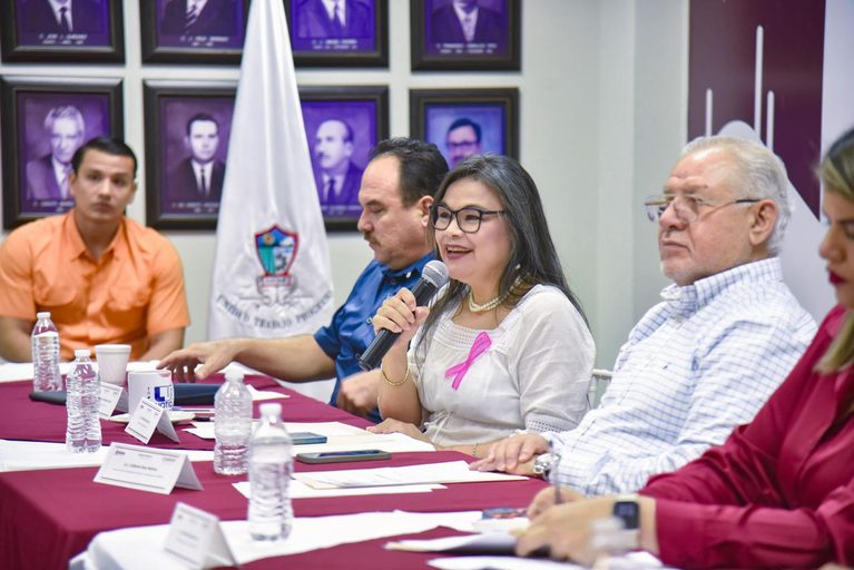 Sesiona COMPAVIF y anuncia acciones para mejorar en la prevención y erradicación de la violencia familiar.